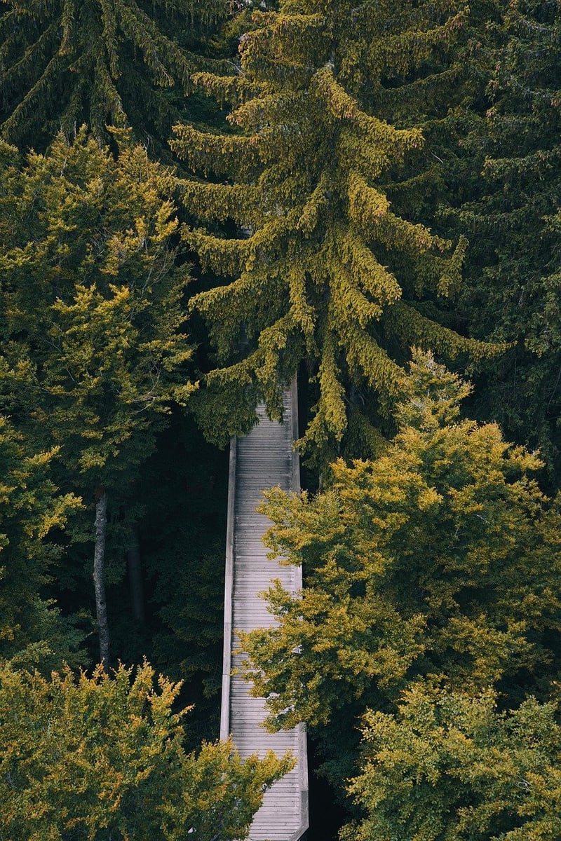 Nature Trail